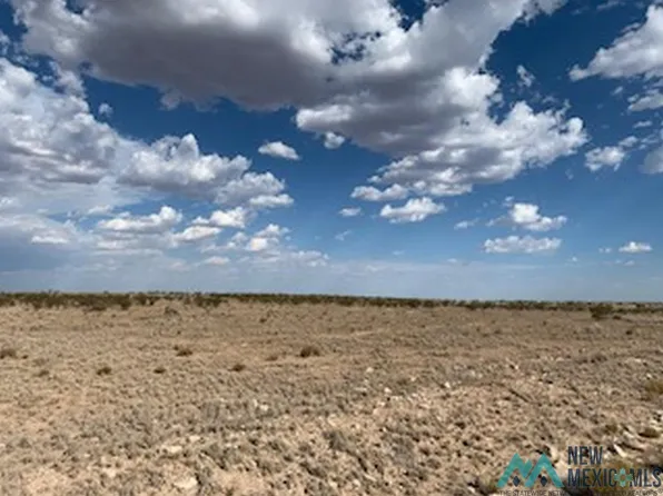 E Of 437 Santa Rd, Hope, NM 88250