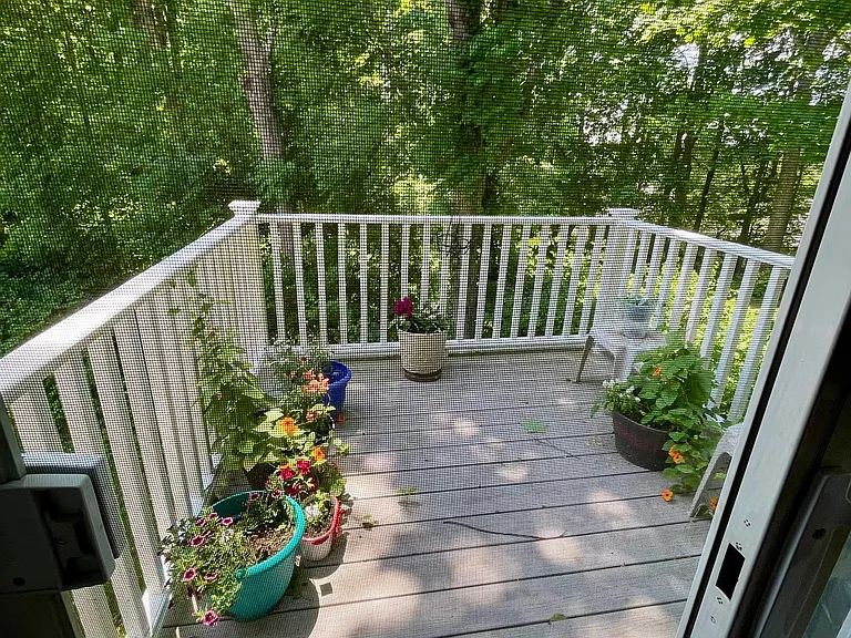 90-92 Elm St #3 — Photo 6