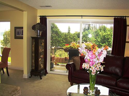 Views from the living rm