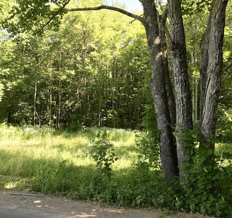 2nd image of 61 Mills Rd