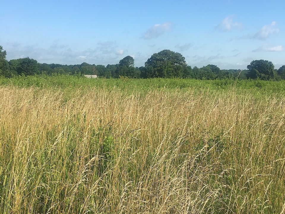 July 2019