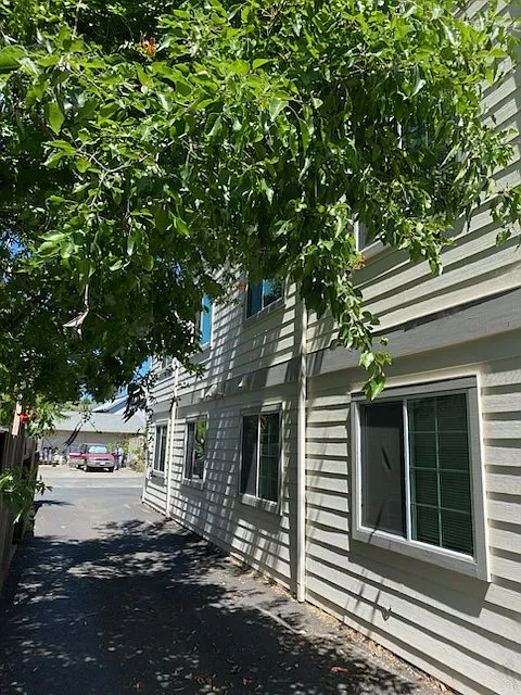 426 Even St #3