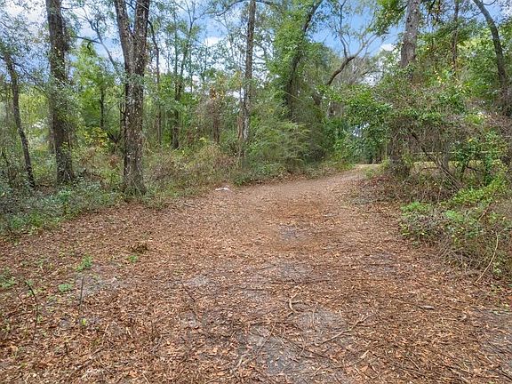 5th image of 5009 Henslow Ln