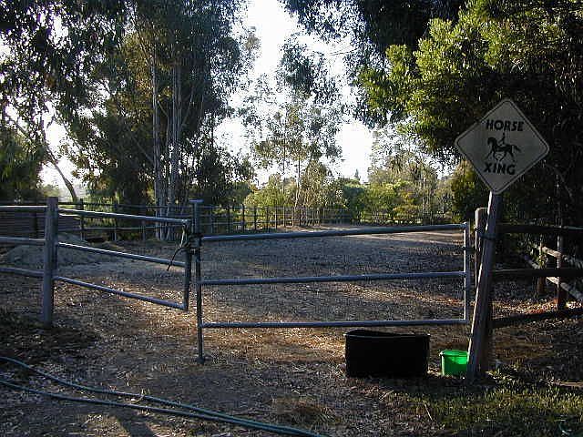top horse arena