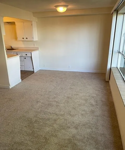 Skyline House — Photo 39