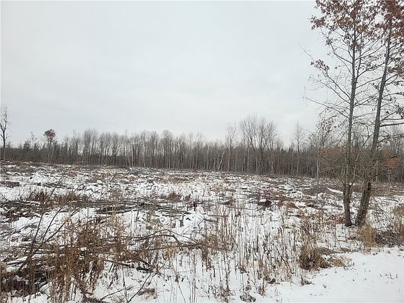 4th image of ON Sheep Camp Road