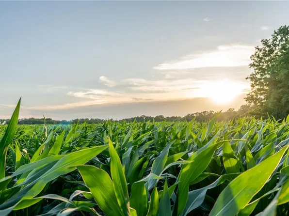 County Road 280 Rd, New Franklin, MO 65274