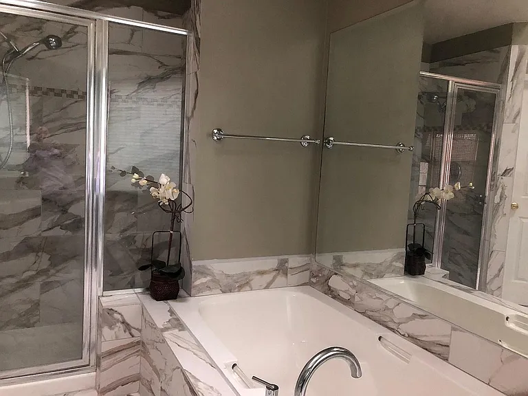 Main bath tub and shower