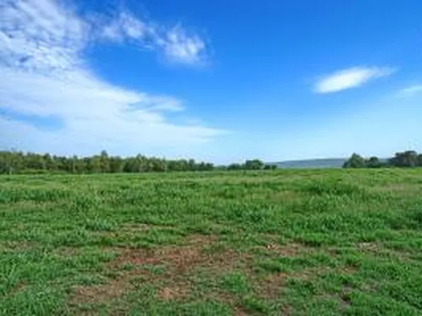 (undisclosed Address), Hector, AR 72843