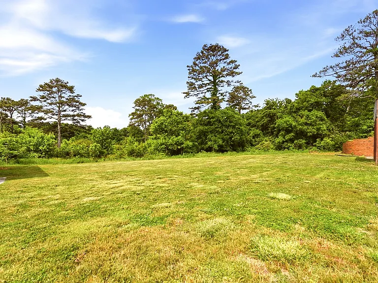 Large Back Yard
