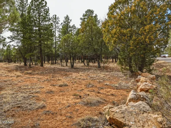 3212 Apache Dr, Happy Jack, AZ 86024