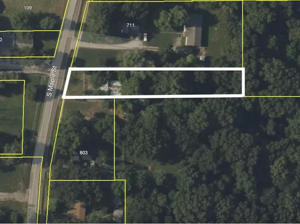 801 S Maple St, Cambria, IL 62915