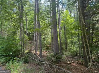 LOT 6 Baker Ln, Hiawassee, GA 30546