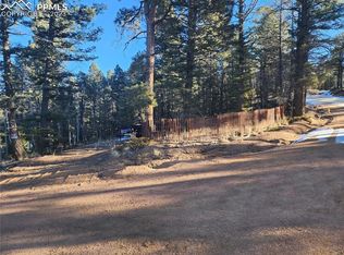 1180 Pinewood Rd, Florissant, CO 80816