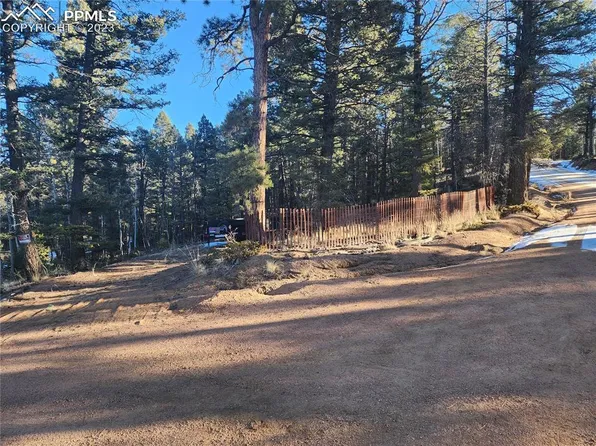 1180 Pinewood Rd, Florissant, CO 80816