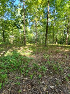 0 Teal Hollow Rd, Kelso, TN, 37348