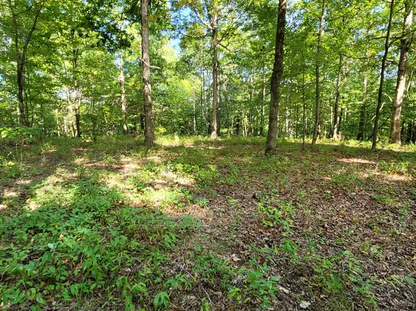 0 Teal Hollow Rd, Kelso, TN 37348