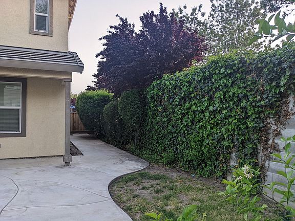 Beautifully maintained backyard with lots of side yard