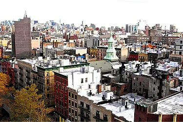 Sold by Cicada International LLC