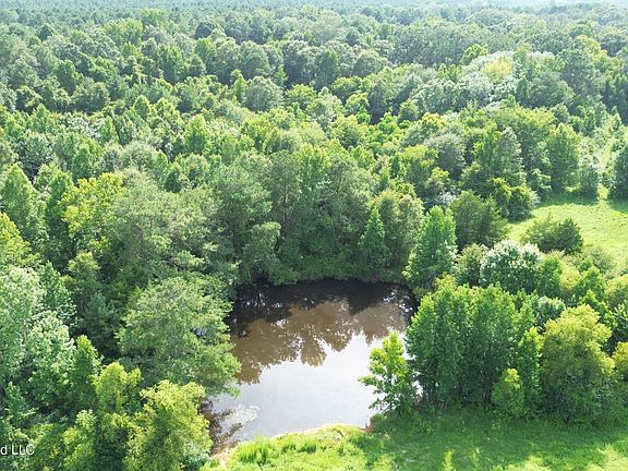 4th image of 386 E Smith County Rd #111-A
