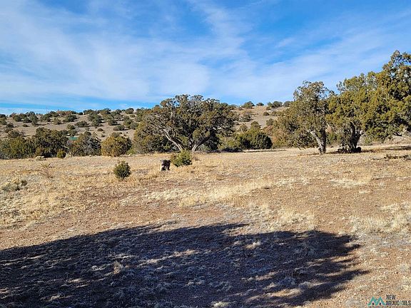 2nd image of 235 Sugarloaf Trl