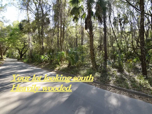 602 NW Okehumkee St, Micanopy, FL 32667