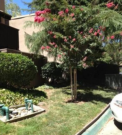 Exterior Grounds