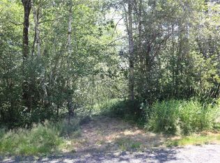 66 W Tulalip Trl, Elma, WA