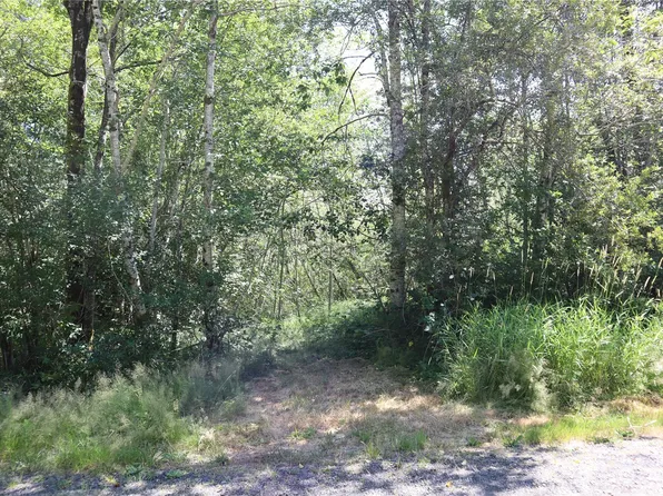 66 Tulalip Trail, Elma, WA 98541