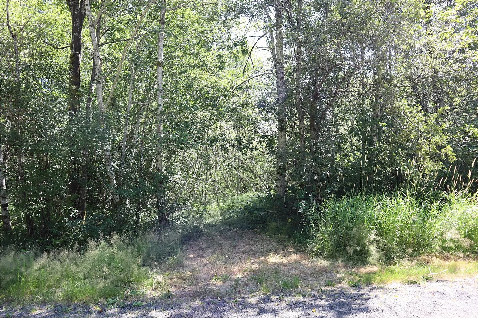 66 Tulalip Trail photo 1