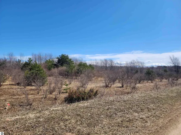 Dungannon Ln #26, Ellsworth, MI 49729