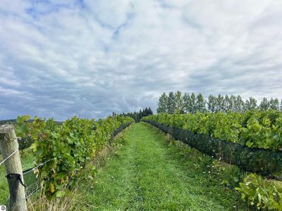 4499 S Schomberg Rd, Cedar, MI, 49621