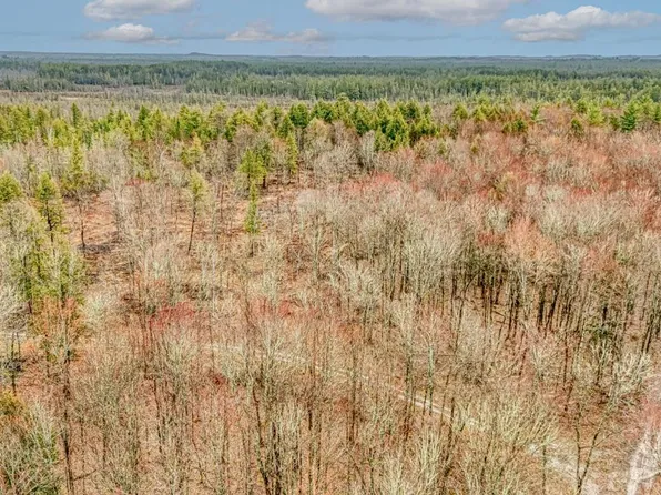 N948 Old Plank Rd, Wetmore, MI 49895