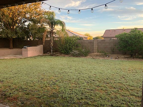 Large grass backyard