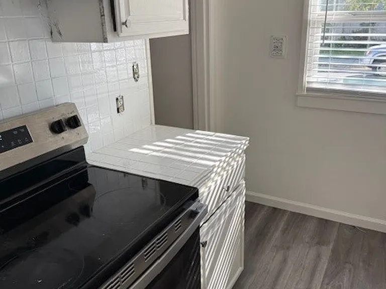 316 Peninsula Ave — Photo 5