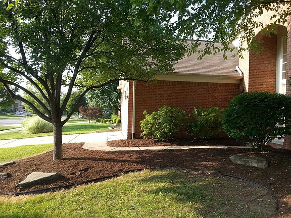 Front Yard
