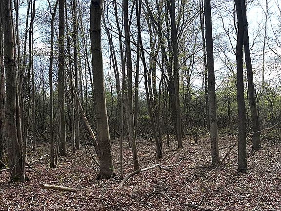 4th image of 6000 Lange Rd