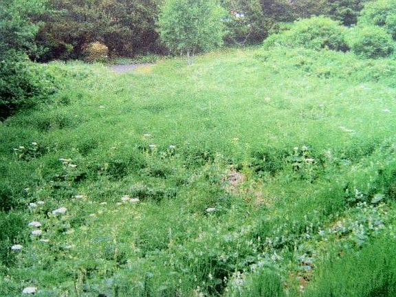 4th image of Cove Crest Dr
