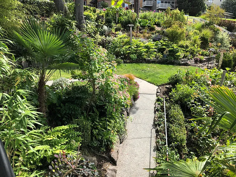 Walking path amidst lush gardens