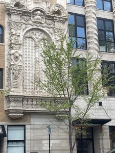 1635 W Belmont Ave APT 602, Chicago, IL, 60657