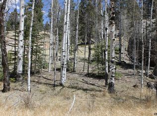 301 Spring Valley Ln, Florissant, CO 80816