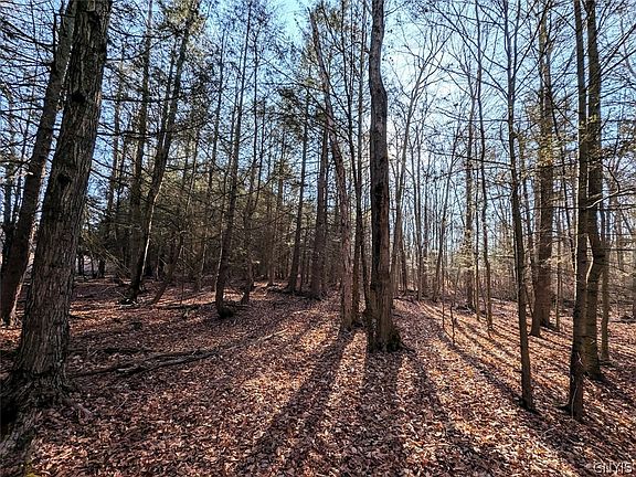 4th image of South Rd