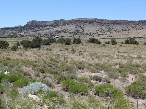 689 Wagon Wheel Road, Del Norte, CO 81132