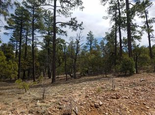 2125 S Pleasant View Dr, Show Low, AZ 85901