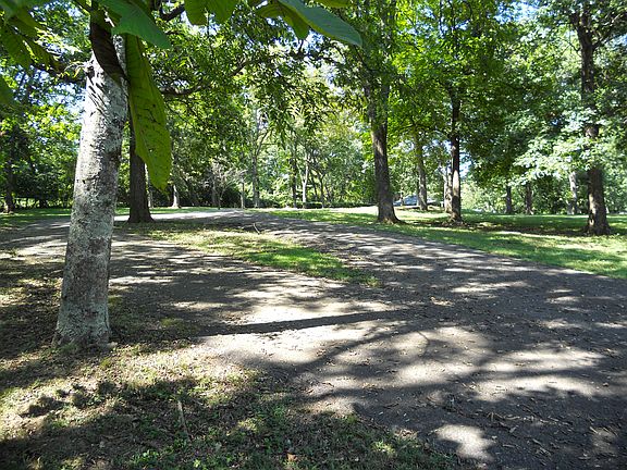 View from the Driveway 