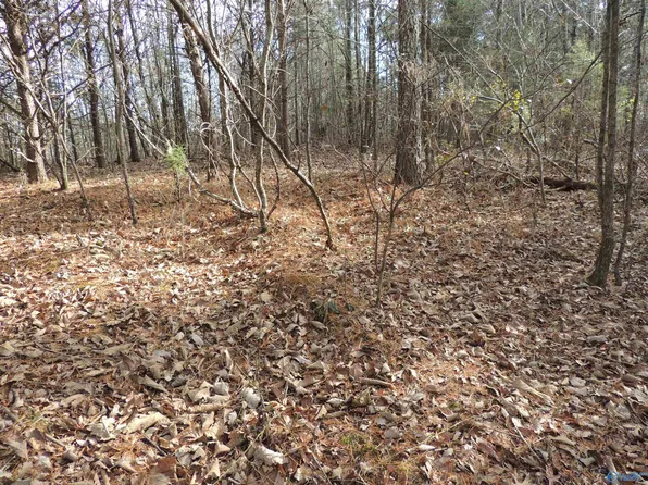 County Road 9, Moulton, AL 35650