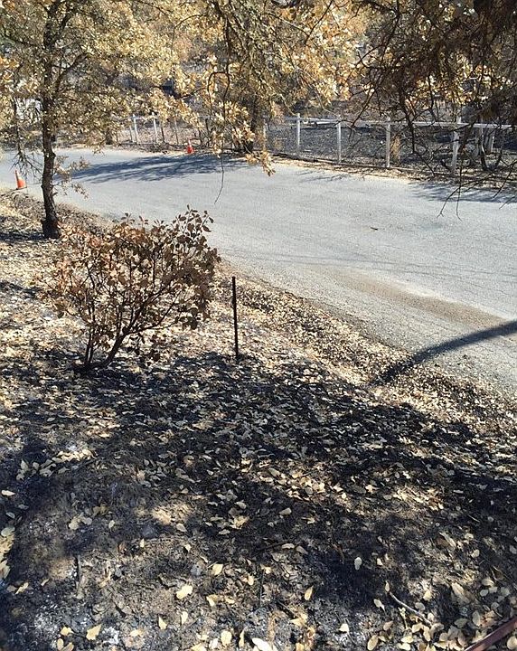 1st image of 9417 Copsey Creek Way