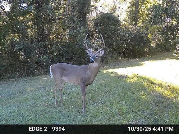 4th image of 11804 SE COUNTY ROAD 234