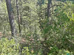 100 Trinidad Ave, Timberon, NM 88350