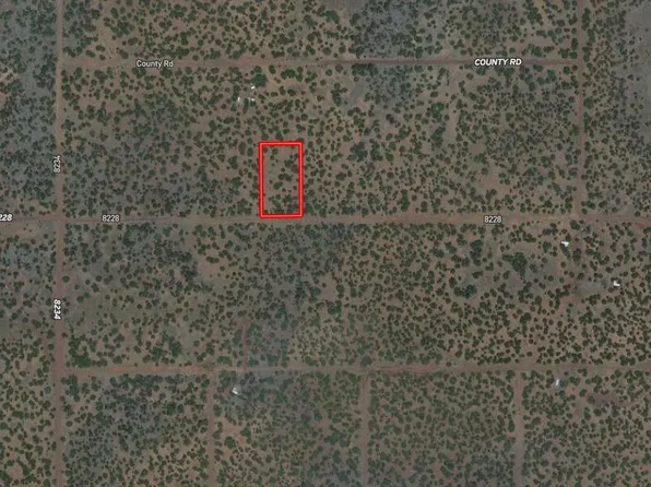 Show Low Pnes Lot 203, Concho, AZ 85924